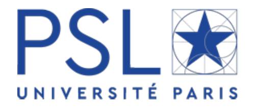 PSL Research University